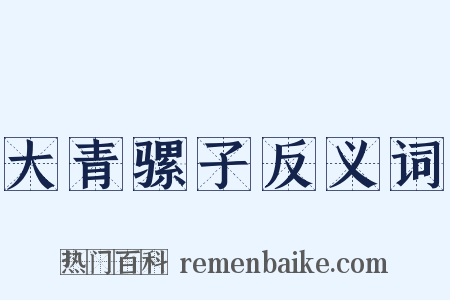 大青骡子反义词是什么意思的图片